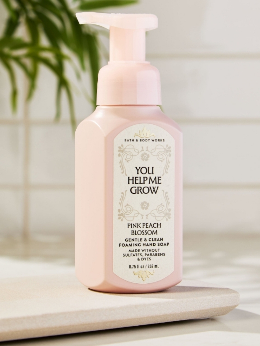 Bath & Body Works Pink Foaming Hand Soap — You Help Me Grow